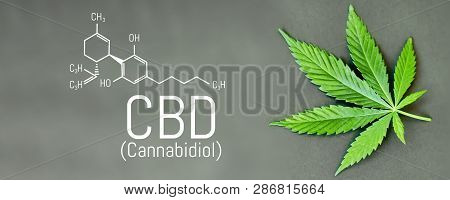 Cbd Cannabis Formula. Cbd Oil Cannabis Extract, Medical Hemp Concept