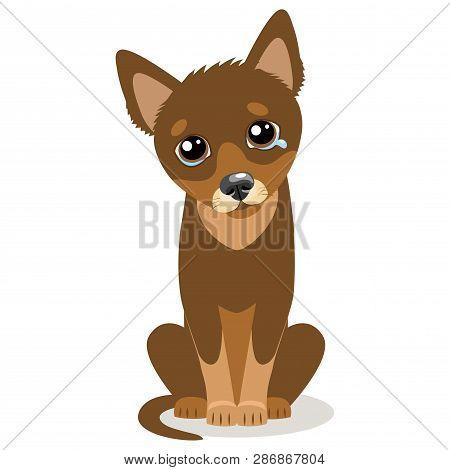 Sad Crying Dog Cartoon Vector Illustration. Dog With Tears. Crying Dog Face. Weep Homeless Pet.