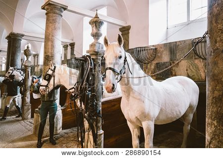 February 20, 2019.royal Stable In Denmark Copenhagen In Territory Christiansborg Slot. Man Young Wom