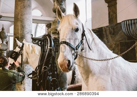 February 20, 2019.royal Stable In Denmark Copenhagen In Territory Christiansborg Slot. Man Young Wom