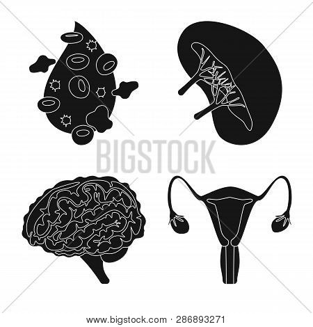 Isolated Object Of Research And Laboratory Icon. Set Of Research And Organ Vector Icon For Stock.