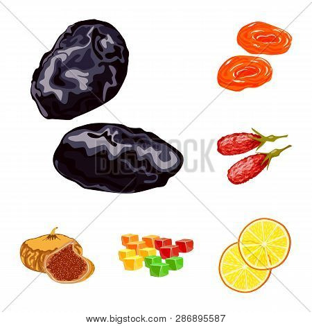 Isolated Object Of Fruit And Dried  Sign. Set Of Fruit And Food  Vector Icon For Stock.