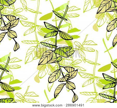 Floral Seamless Pattern. Hand Drawn Illustration. Fullsize Raster Atrwork.