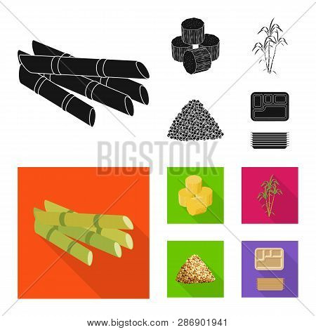 Vector Illustration Of Farm And Agriculture  Symbol. Set Of Farm And Technology Stock Vector Illustr