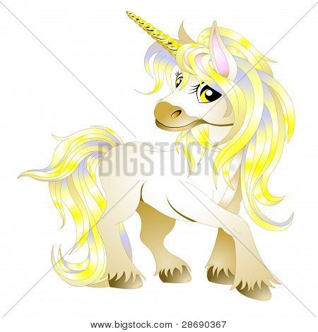 Amrican amerikansk kvinde gå små hvide hund