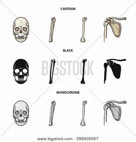 Vector Design Of Medicine And Clinic Icon. Set Of Medicine And Medical Vector Icon For Stock.