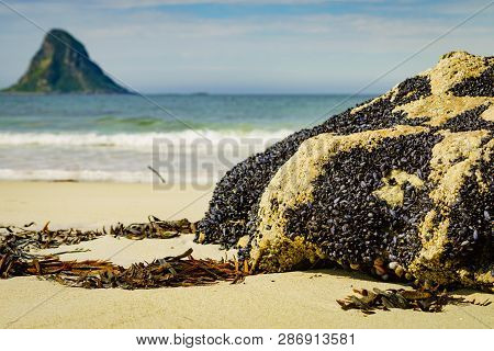 Sea Coast Sandy Beach In Resort Bleik Andoya Norway