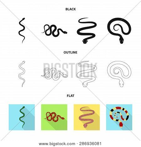 Vector Design Of Mammal And Danger Logo. Set Of Mammal And Medicine Stock Vector Illustration.