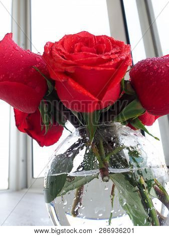 Preparing A Gift, On A Wooden Table, With Roses. Female Hand Holding A Gift, Wrapped With Ribbon, On