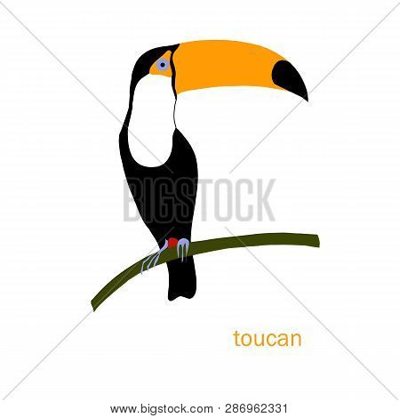 Cute Toucan Bird Vector Color Characters Set. Sketch Robin In Black, Orange Colour. Forest Animal Do