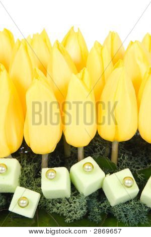 Tulipány uspořádání