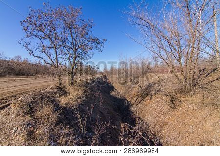 Morning Winter Snowless Landscape