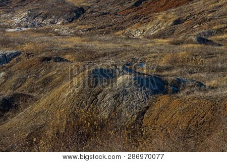Morning Winter Snowless Landscape