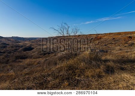 Morning Winter Snowless Landscape