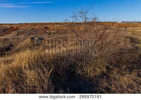 Morning Winter Snowless Landscape