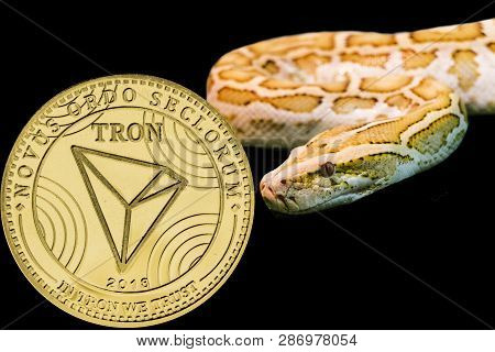 Concept Yellow Snake And Coin Cryptocurrency Tron.