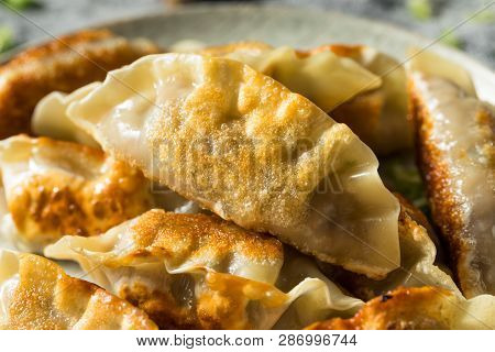 Homemade Korean Mandu Pork Dumplings