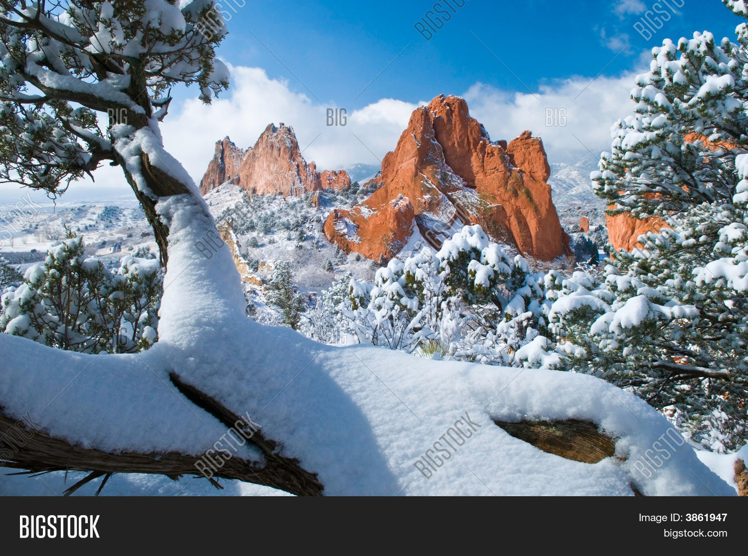 Fresh Snow Garden Image & Photo (Free Trial) | Bigstock
