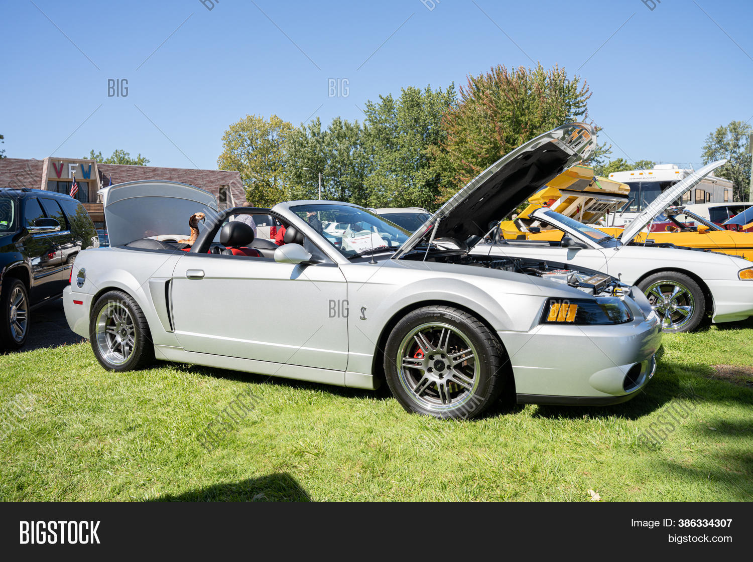 Saint Clair Shores, Image & Photo (Free Trial) Bigstock