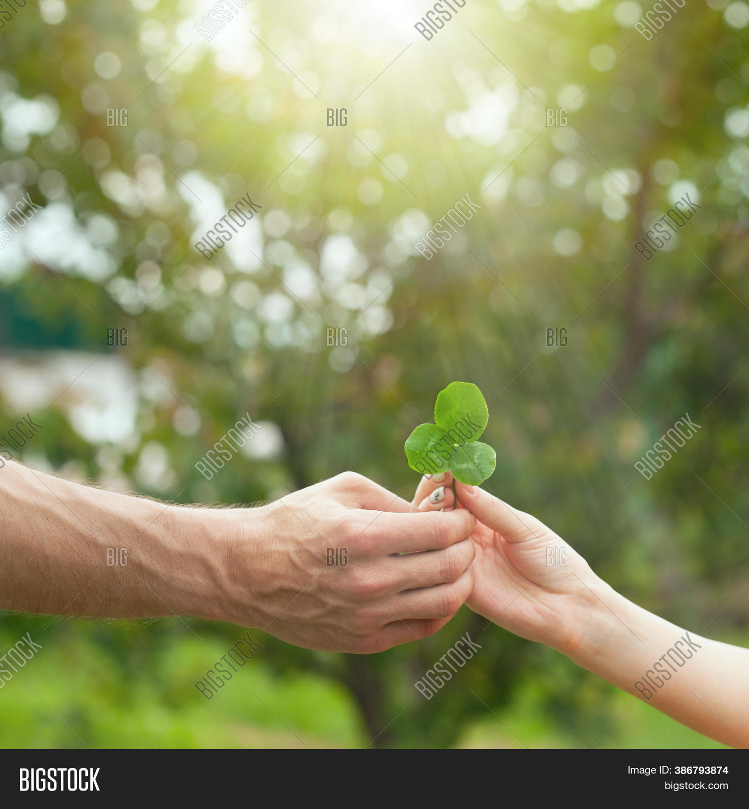 Hand Holding Leaf Image & Photo (Free Trial) Bigstock