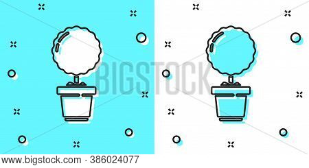 Black Line Plant In Pot Icon Isolated On Green And White Background. Plant Growing In A Pot. Potted 