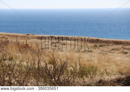 Detail Of A Rural Landscape In Costa Da Caparica, Portugal