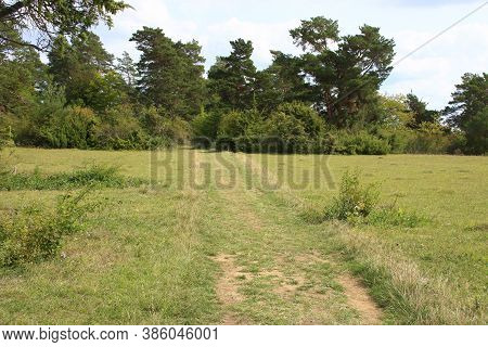 View Of The Buechelberg Nature Reserve Near Neuhausen In The Enzkreis