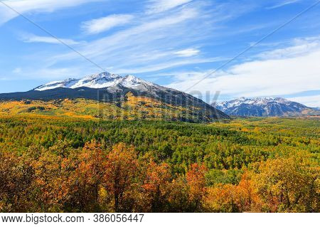 Golden Leaves Of Aspen Trees In The Beautiful Rocky Mountains Of Colorado. East And West Beckwith Mo