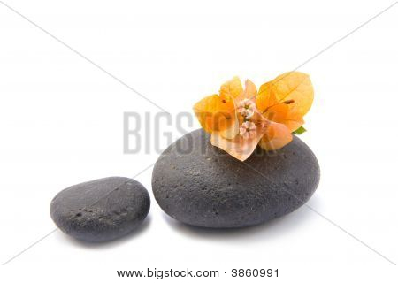 禅宗的石头与 Bouganvilla 鲜花隔离。