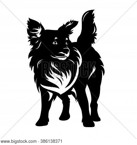 Mixed Breed Dog Standing And Watching Attentively - Cute Pet Black And White Vector Portrait