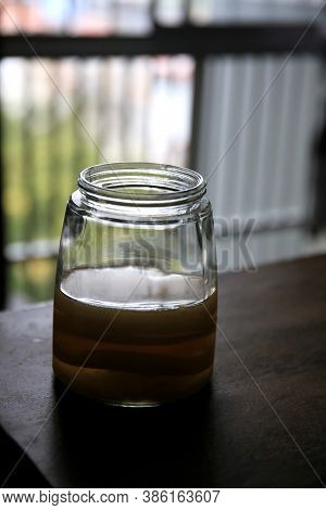 Salvador, Bahia / Brazil - September 20, 2020: Pot Of Scoby Kombucha Fermentation In Phase 1, Is See