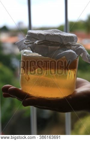 Salvador, Bahia / Brazil - September 20, 2020: Pot Of Scoby Kombucha Fermentation In Phase 1, Is See