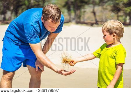 Father Son Walk On Sun Sea Beach Near Forest Park, Study Parts Of Plants On Sand. Happy Childhood. F
