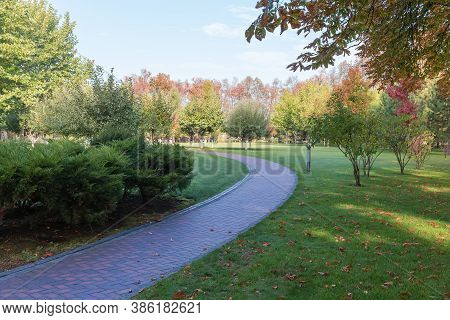 Curved Path Paved With Stone Slabs Among The Lawn With Growing Shrubs And Trees In Autumn Park