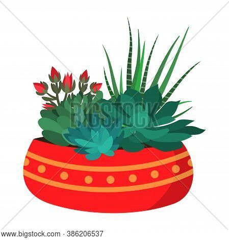 Vector Illustration Of A Colorful Pot With A Set Of Different Succulents And Catuses In A Cartoon St