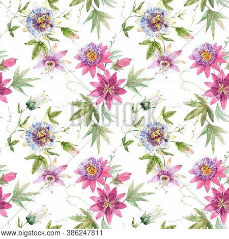 Beautiful Vector Seamless Floral Pattern With Watercolor Summer Passionflower Flowers. Stock Illustr