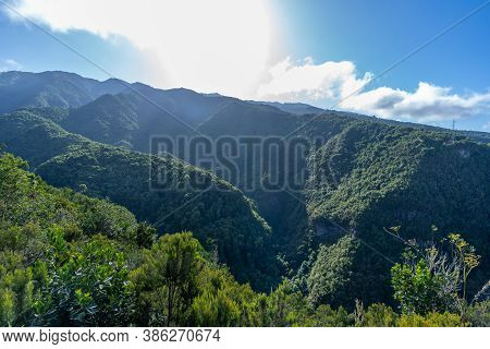 Viewpoint Of The Cubo De La Galga Natural Park On The Northeast Coast On The Island Of La Palma, Can