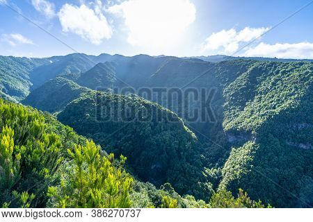 Panoramic View Of The Cubo De La Galga Natural Park On The Northeast Coast On The Island Of La Palma