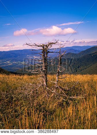 Beautifull  Polish Mountains In Bieszczady, Wetlina. Mountain Path.