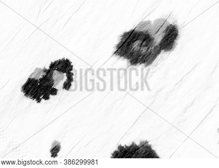 Animal Print. Exotic Handdrawn Material Design. Trendy Zoo African Surface Print. Animal Background.