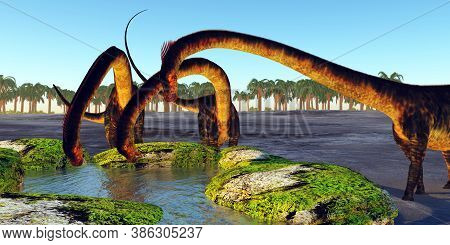 Dinosaur Drinking Spring 3d Illustration - A Herd Of Barosaurus Dinosaurs Find A Luscious Water Spri