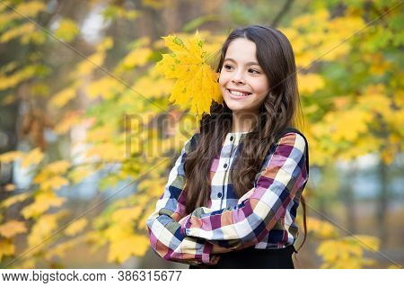Happt Kid With Yellow Maple Leaves, Childhood.