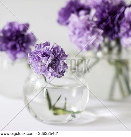 Bridal Bouquets Of Lilac Carnations In A Four Round Glass Vases Different Sizes As Table Decoration