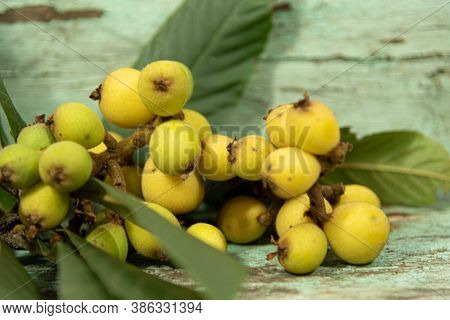 Medlar Fruit (eriobotrya Japonica). Very Nutritious Fruit That Has Its Origin In China. The Medlar T