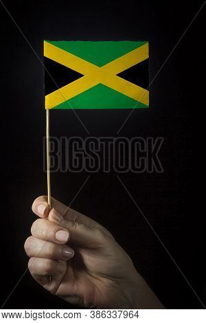 Hand With Small Flag Of State Of Jamaica