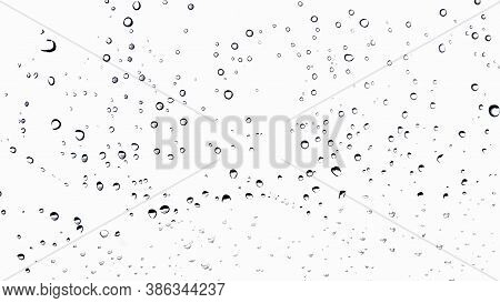 Rain Drop On The White Background