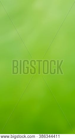 A Green Natural  Blur Background