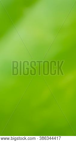 A Green Natural  Blur Background