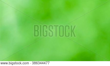 A Green Natural  Background