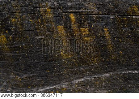 Black Weathered Wooden Texture With Yellow Fungus Spots.